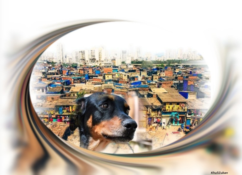 शहर में कुत्ते, पालतू कुत्ता, बीमार और ख़तरनाक़