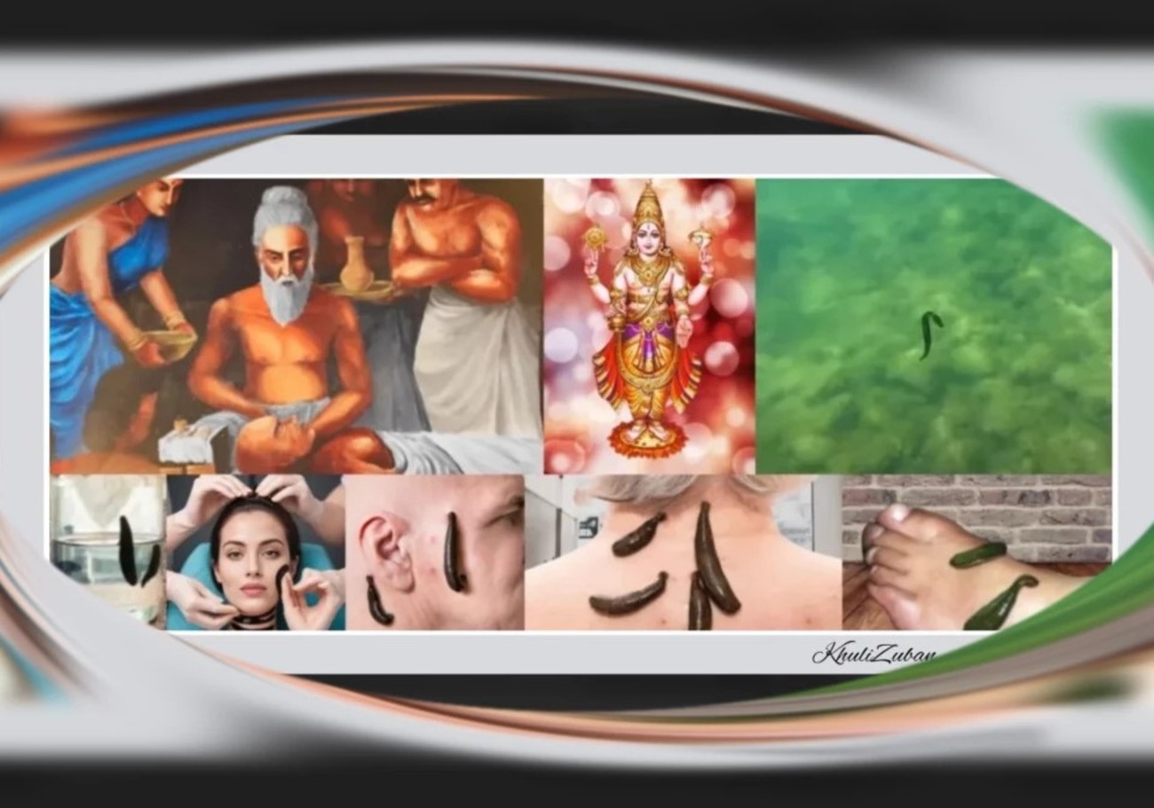 जलौका लगाना, बीमारी का इलाज, जोंक के फ़ायदे