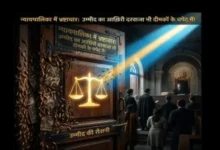 न्यायपालिका में भ्रष्टाचार, आख़िरी दरवाजा, दीमकों का प्रभाव