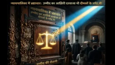 न्यायपालिका में भ्रष्टाचार, आख़िरी दरवाजा, दीमकों का प्रभाव